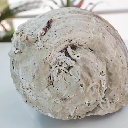 Διαμέρισμα Oreb - One Bedroom With Terrace And Sea View *